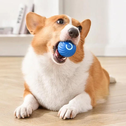🐾 Visagelens™️ Smart Gravity Ball – Endless Fun for Your Dog!