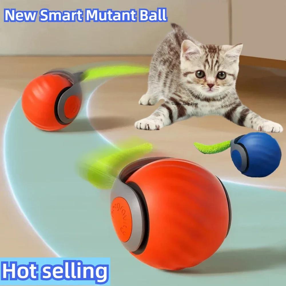 🧠 Visagelens™️ Smart Motion Pet Ball – Keep Your Cat Curious, Active, and Happy
