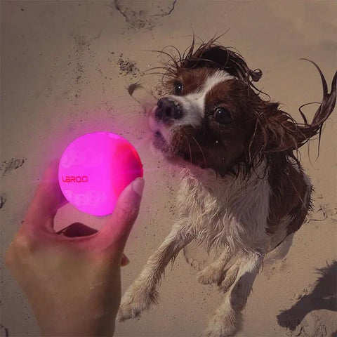 Visagelens™️ Smart Light-Up Dog Ball – Fun, Durable & Rechargeable!