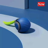 🧠 Visagelens™️ Smart Motion Pet Ball – Keep Your Cat Curious, Active, and Happy