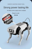 Visagelens™️ Inspire Learning and Imagination – The Robot Dog That Kids Build and Love! 🧠💡