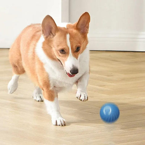 🐾 Visagelens™️ Smart Gravity Ball – Endless Fun for Your Dog!